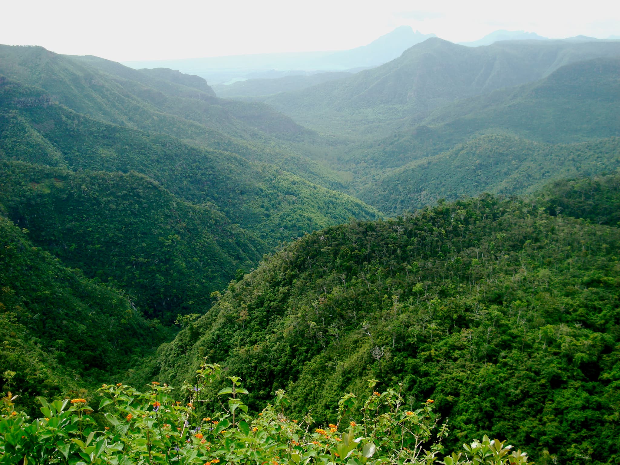 Black River Gorges
