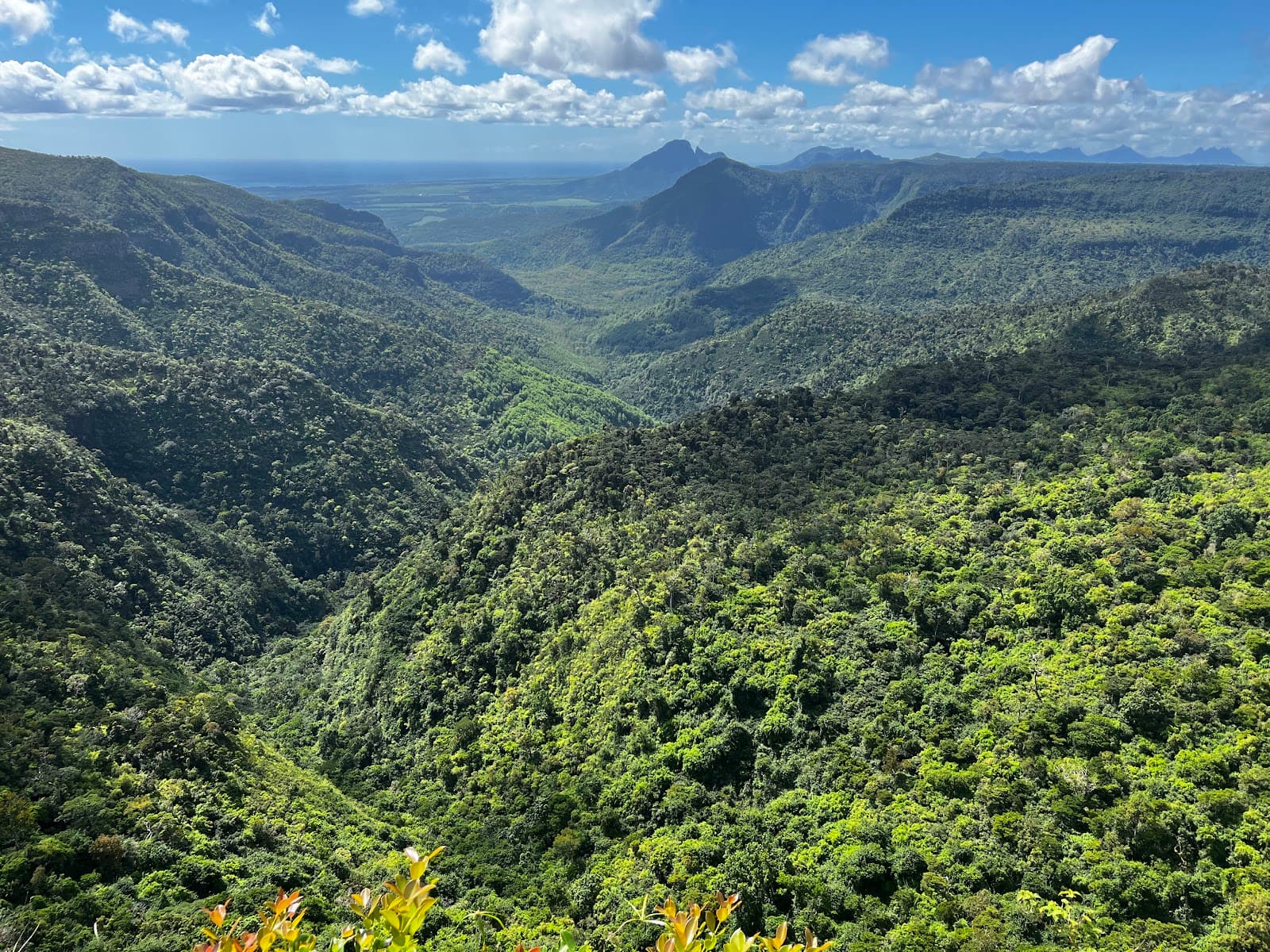 Black River Gorges National Park